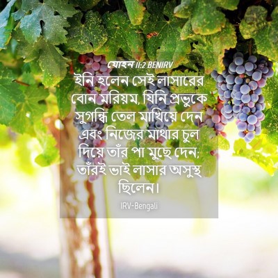 Picture 04 - যোহন 11:2 BENIRV - ইনি হলেন সেই - Bible Verse Picture