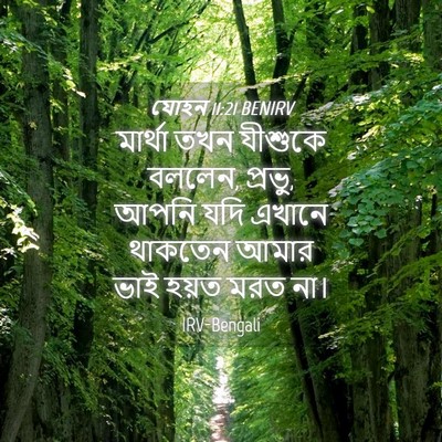 Picture 04 - যোহন 11:21 BENIRV - মার্থা তখন যীশুকে - Bible Verse Picture