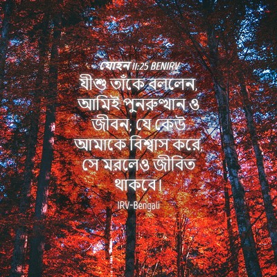 Picture 04 - যোহন 11:25 BENIRV - যীশু তাঁকে বললেন, - Bible Verse Picture