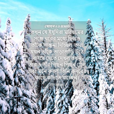 Picture 04 - যোহন 11:31 BENIRV - তখন যে ইহূদিরা - Bible Verse Picture