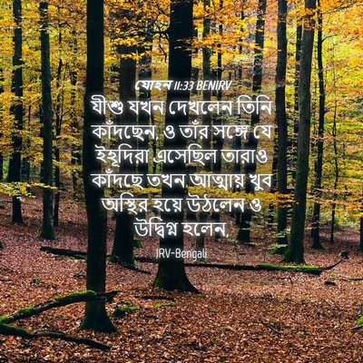 Picture 04 - যোহন 11:33 BENIRV - যীশু যখন দেখলেন - Bible Verse Picture