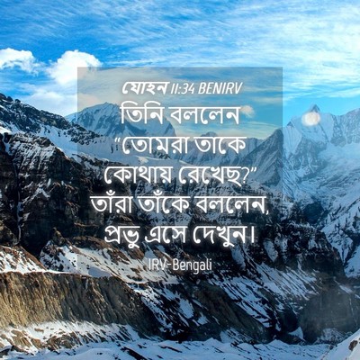 Picture 04 - যোহন 11:34 BENIRV - তিনি বললেন “তোমরা - Bible Verse Picture