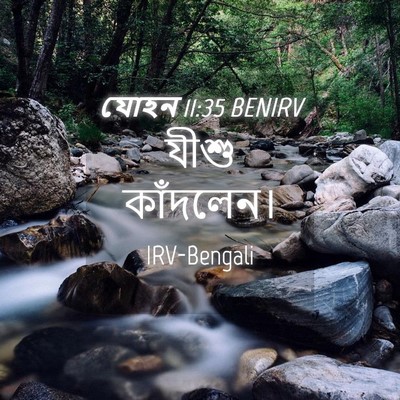 Picture 04 - যোহন 11:35 BENIRV - যীশু - Bible Verse Picture