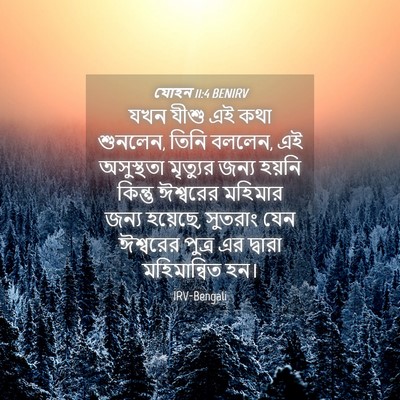 Picture 04 - যোহন 11:4 BENIRV - যখন যীশু এই কথা - Bible Verse Picture