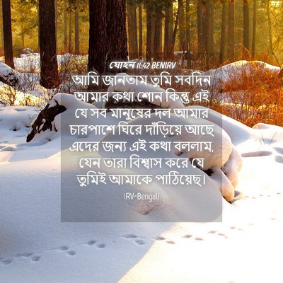 Picture 04 - যোহন 11:42 BENIRV - আমি জানতাম তুমি - Bible Verse Picture