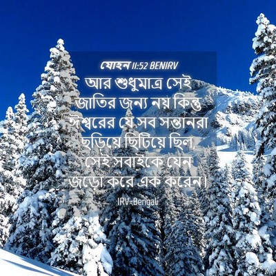 Picture 04 - যোহন 11:52 BENIRV - আর শুধুমাত্র সেই - Bible Verse Picture