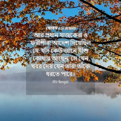 Picture 04 - যোহন 11:57 BENIRV - আর প্রধান যাজকেরা - Bible Verse Picture