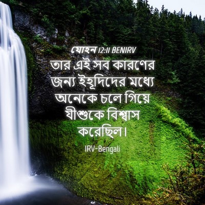 Picture 04 - যোহন 12:11 BENIRV - তার এই সব কারণের - Bible Verse Picture