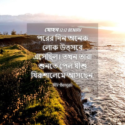 Picture 04 - যোহন 12:12 BENIRV - পরের দিন অনেক লোক - Bible Verse Picture