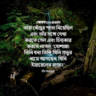 Picture 04 - যোহন 12:13 BENIRV - তারা খেঁজুর পাতা - Bible Verse Picture
