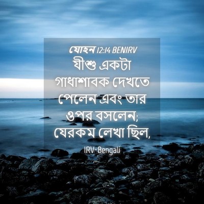 Picture 04 - যোহন 12:14 BENIRV - যীশু একটা - Bible Verse Picture