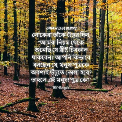 Picture 04 - যোহন 12:34 BENIRV - লোকেরা তাঁকে - Bible Verse Picture
