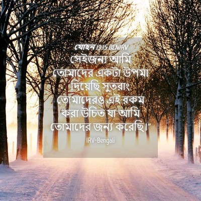 Picture 04 - যোহন 13:15 BENIRV - সেইজন্য আমি - Bible Verse Picture