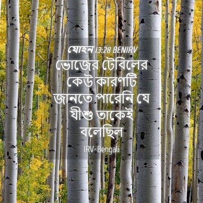 Picture 04 - যোহন 13:28 BENIRV - ভোজের টেবিলের কেউ - Bible Verse Picture