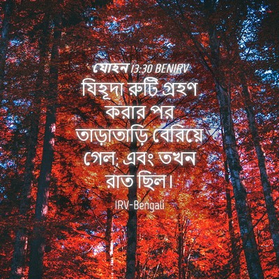 Picture 04 - যোহন 13:30 BENIRV - যিহূদা রুটি গ্রহণ - Bible Verse Picture