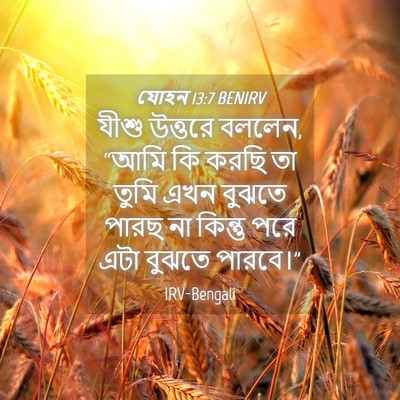 Picture 04 - যোহন 13:7 BENIRV - যীশু উত্তরে বললেন, - Bible Verse Picture