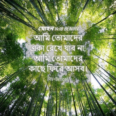 Picture 04 - যোহন 14:18 BENIRV - আমি তোমাদের একা - Bible Verse Picture