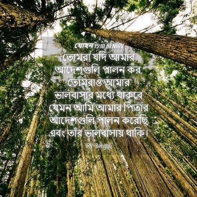 Picture 04 - যোহন 15:10 BENIRV - তোমরা যদি আমার - Bible Verse Picture