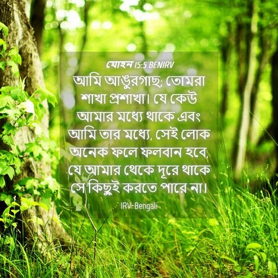 Picture 04 - যোহন 15:5 BENIRV - আমি আঙুরগাছ; তোমরা - Bible Verse Picture