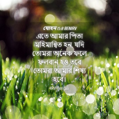 Picture 04 - যোহন 15:8 BENIRV - এতে আমার পিতা - Bible Verse Picture