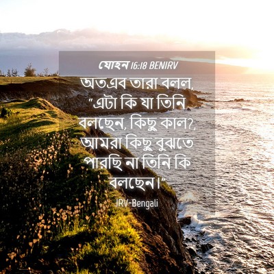 Picture 04 - যোহন 16:18 BENIRV - অতএব তারা বলল, “এটা - Bible Verse Picture
