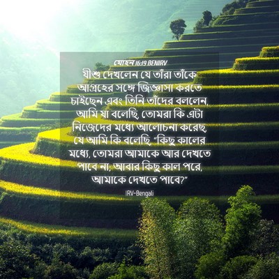 Picture 04 - যোহন 16:19 BENIRV - যীশু দেখলেন যে - Bible Verse Picture