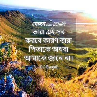 Picture 04 - যোহন 16:3 BENIRV - তারা এই সব করবে - Bible Verse Picture
