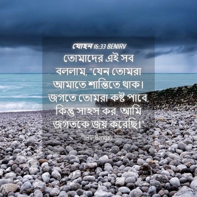 Picture 04 - যোহন 16:33 BENIRV - তোমাদের এই সব - Bible Verse Picture