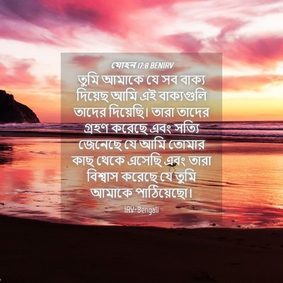 Picture 04 - যোহন 17:8 BENIRV - তুমি আমাকে যে সব - Bible Verse Picture
