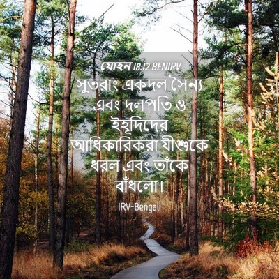 Picture 04 - যোহন 18:12 BENIRV - সুতরাং একদল সৈন্য - Bible Verse Picture