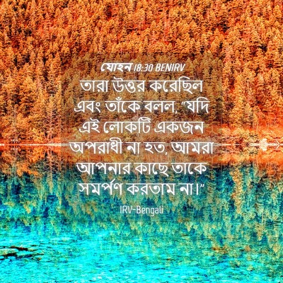 Picture 04 - যোহন 18:30 BENIRV - তারা উত্তর করেছিল - Bible Verse Picture