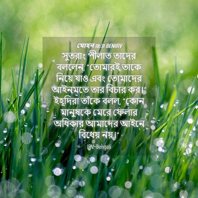 Picture 04 - যোহন 18:31 BENIRV - সুতরাং পীলাত - Bible Verse Picture