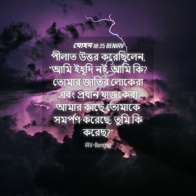 Picture 04 - যোহন 18:35 BENIRV - পীলাত উত্তর - Bible Verse Picture