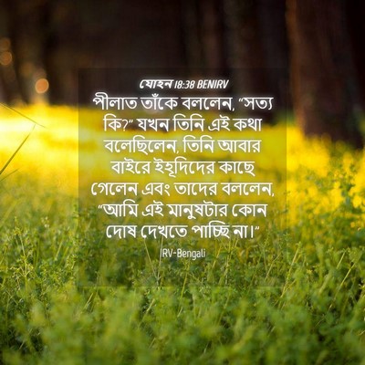 Picture 04 - যোহন 18:38 BENIRV - পীলাত তাঁকে বললেন, - Bible Verse Picture