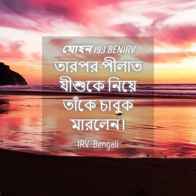 Picture 04 - যোহন 19:1 BENIRV - তারপর পীলাত - Bible Verse Picture