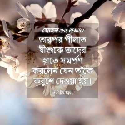 Picture 04 - যোহন 19:16 BENIRV - তারপর পীলাত - Bible Verse Picture