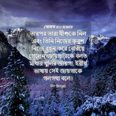 Picture 04 - যোহন 19:17 BENIRV - তারপর তারা যীশুকে - Bible Verse Picture