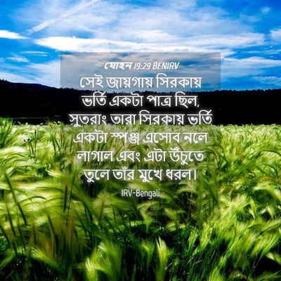 Picture 04 - যোহন 19:29 BENIRV - সেই জায়গায় - Bible Verse Picture