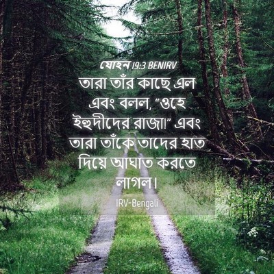 Picture 04 - যোহন 19:3 BENIRV - তারা তাঁর কাছে এল - Bible Verse Picture