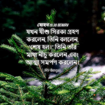 Picture 04 - যোহন 19:30 BENIRV - যখন যীশু সিরকা - Bible Verse Picture