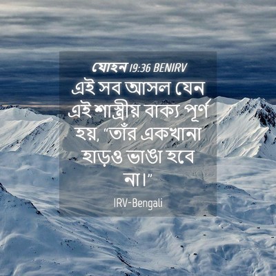 Picture 04 - যোহন 19:36 BENIRV - এই সব আসল যেন এই - Bible Verse Picture