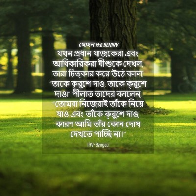 Picture 04 - যোহন 19:6 BENIRV - যখন প্রধান - Bible Verse Picture