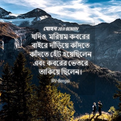 Picture 04 - যোহন 20:11 BENIRV - যদিও, মরিয়ম কবরের - Bible Verse Picture