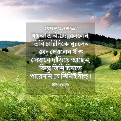 Picture 04 - যোহন 20:14 BENIRV - যখন তিনি এটা বললেন, - Bible Verse Picture