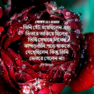 Picture 04 - যোহন 20:5 BENIRV - তিনি হেঁট - Bible Verse Picture