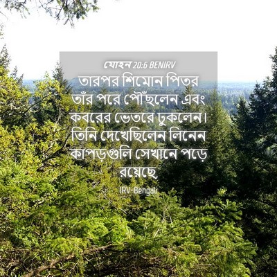 Picture 04 - যোহন 20:6 BENIRV - তারপর শিমোন পিতর - Bible Verse Picture