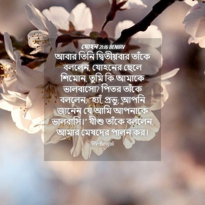 Picture 04 - যোহন 21:16 BENIRV - আবার তিনি - Bible Verse Picture