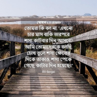 Picture 04 - যোহন 4:35 BENIRV - তোমরা কি বল না, - Bible Verse Picture