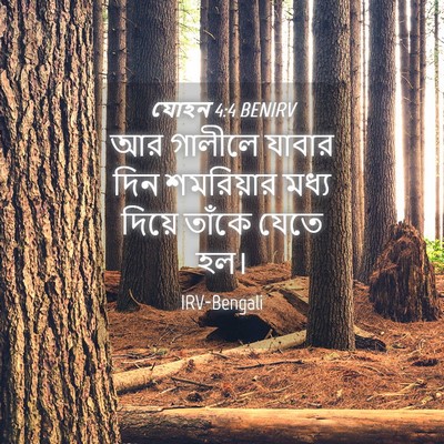 Picture 04 - যোহন 4:4 BENIRV - আর গালীলে যাবার - Bible Verse Picture