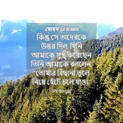 Picture 04 - যোহন 5:11 BENIRV - কিন্তু সে তাদেরকে - Bible Verse Picture